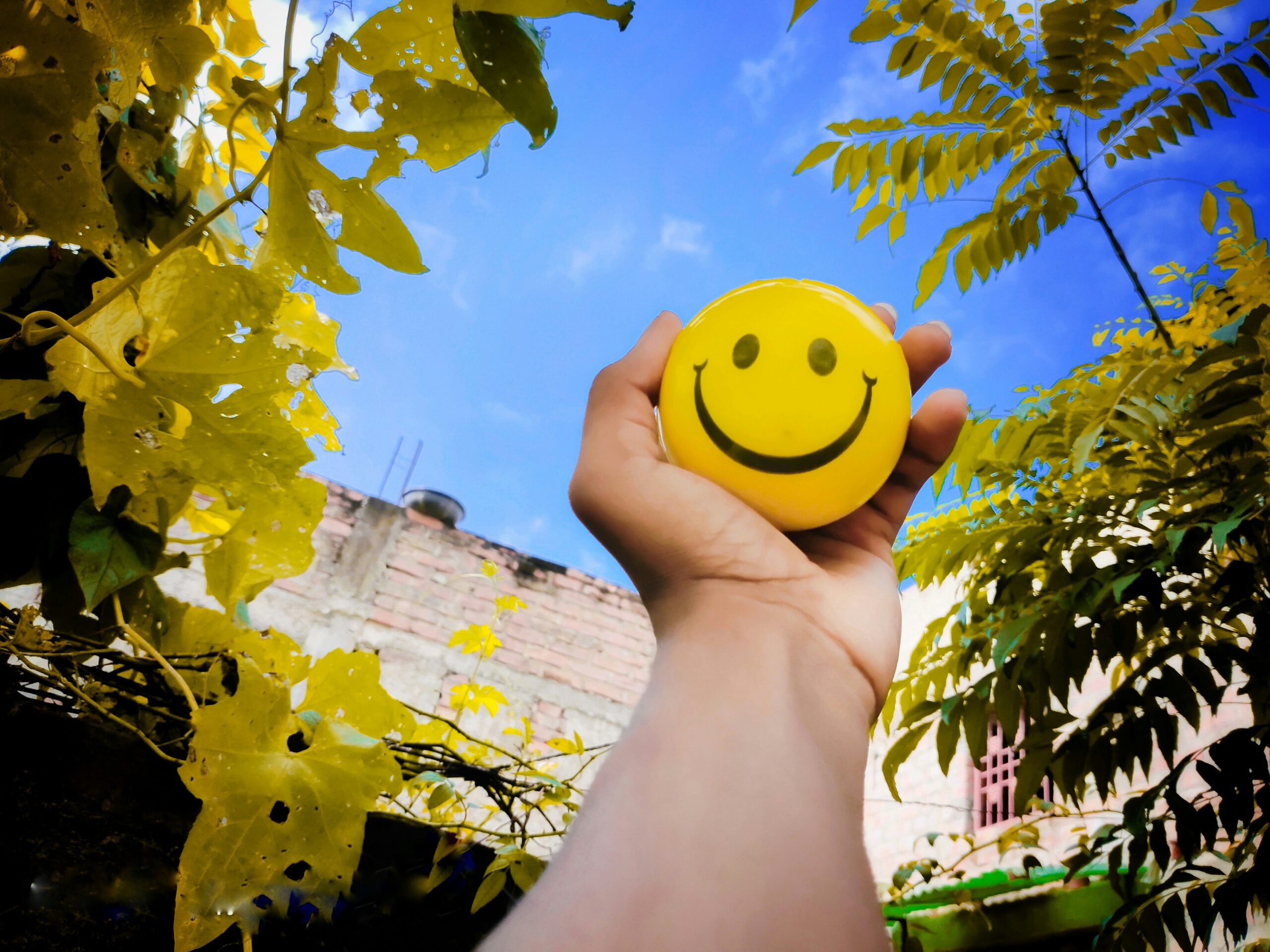 How Dopamine Shapes Habit Formation